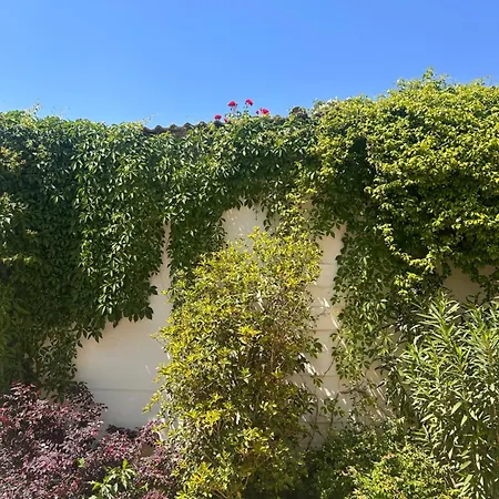 Residenza La Corte شقة